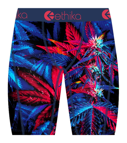 ETHIKA| EXOTICA