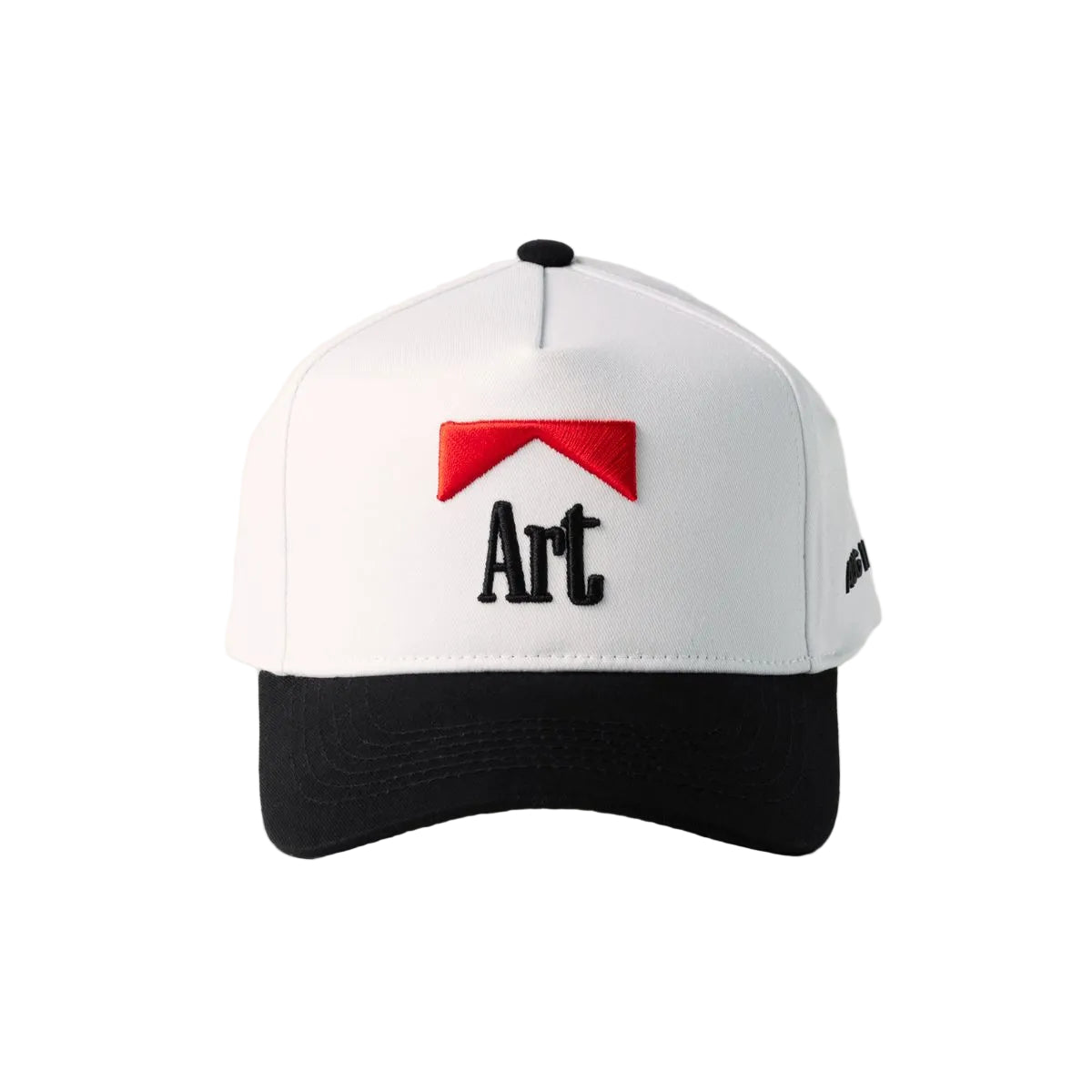 AUG11| ART SNAPBACK HAT