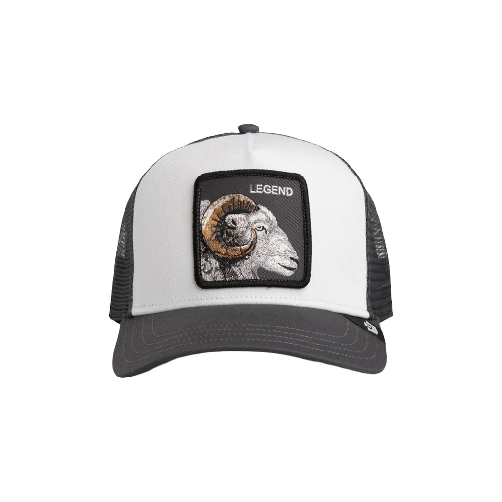 GOORIN BROS| KIDS LEGEND TRUCKER MINI