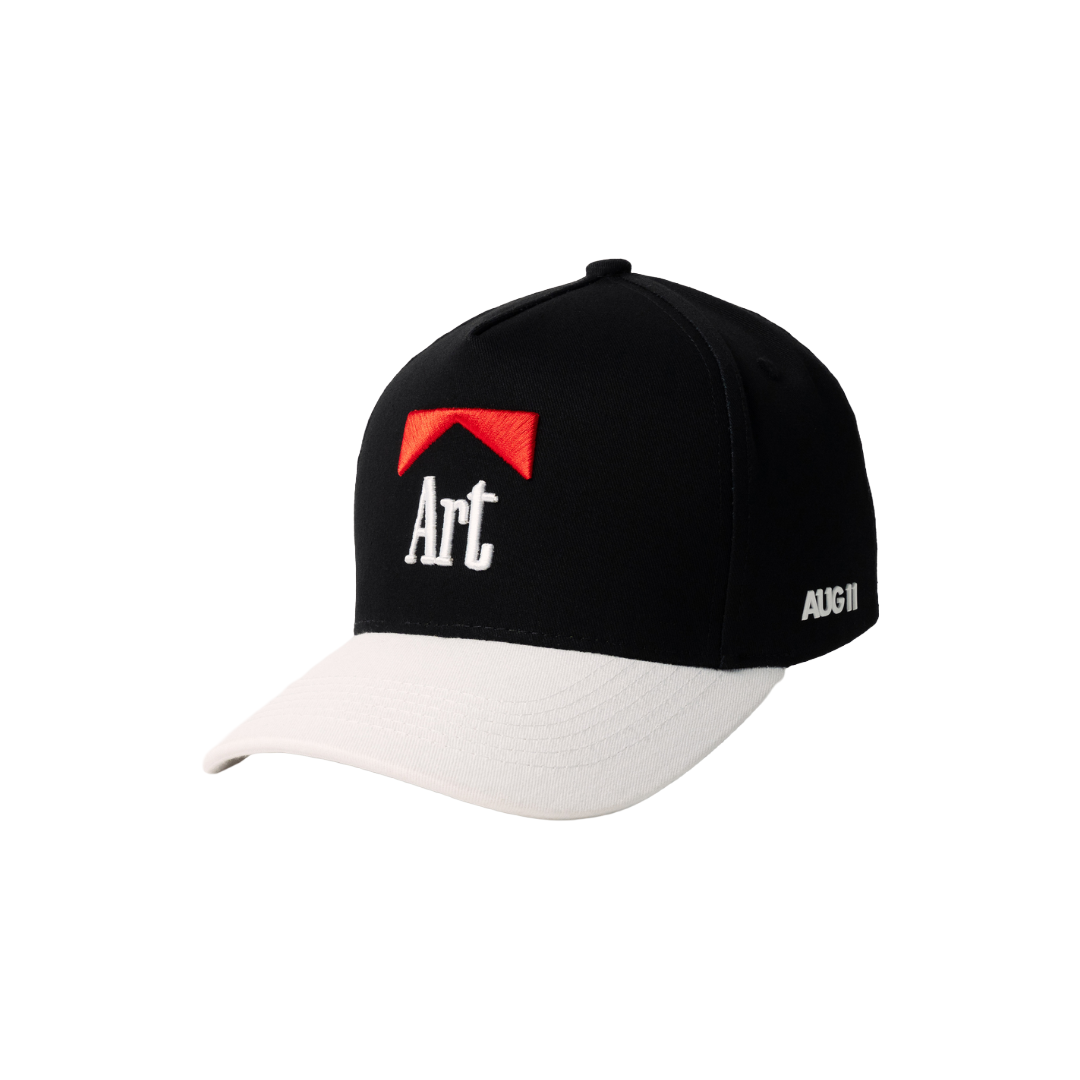 AUG11| ART REVERSE OG HAT