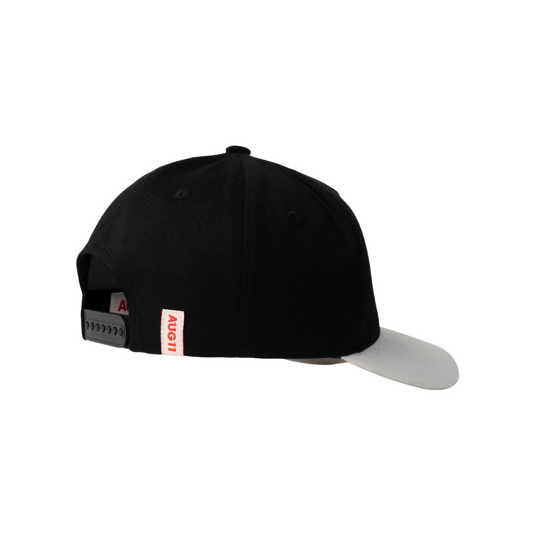 AUG11| ART REVERSE OG HAT