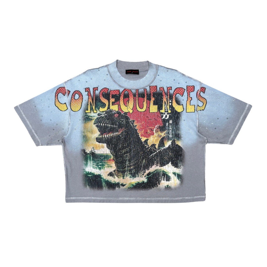 RARE PEACE| GODZILLA TEE